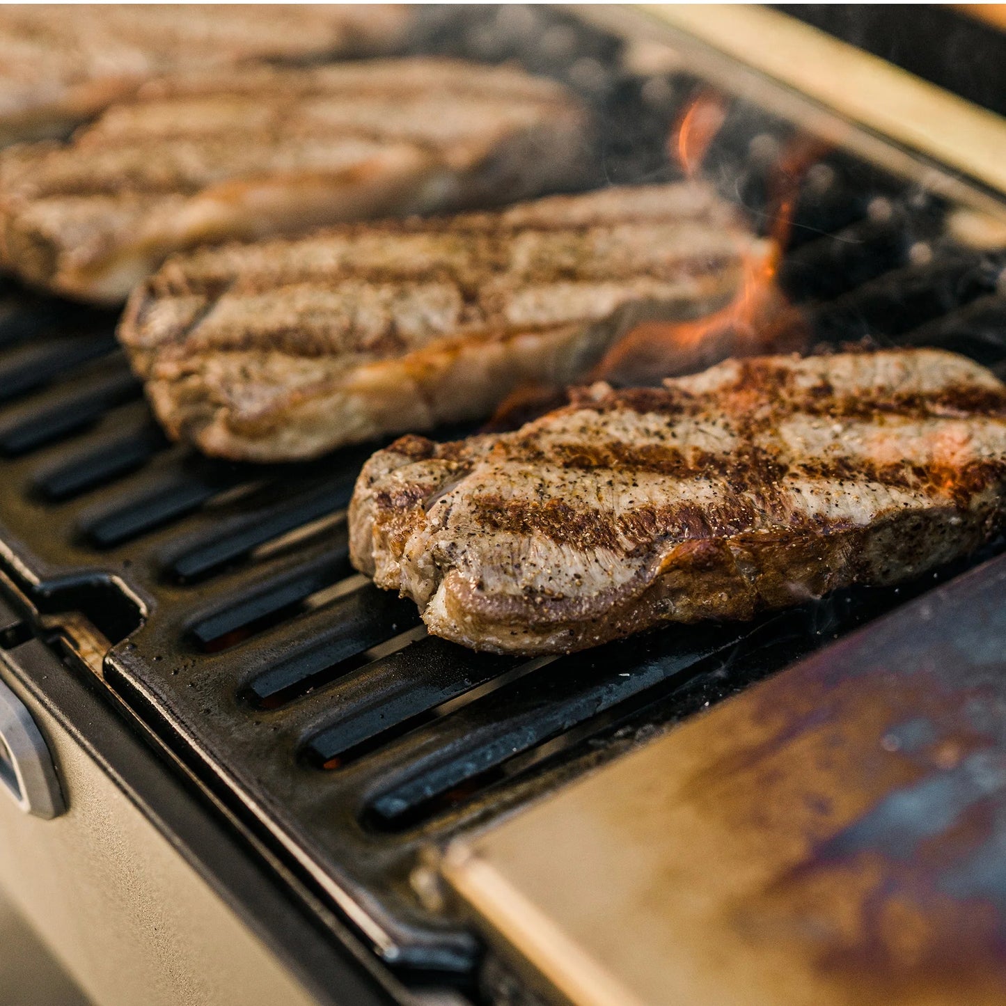 Bärbar Kolgrill