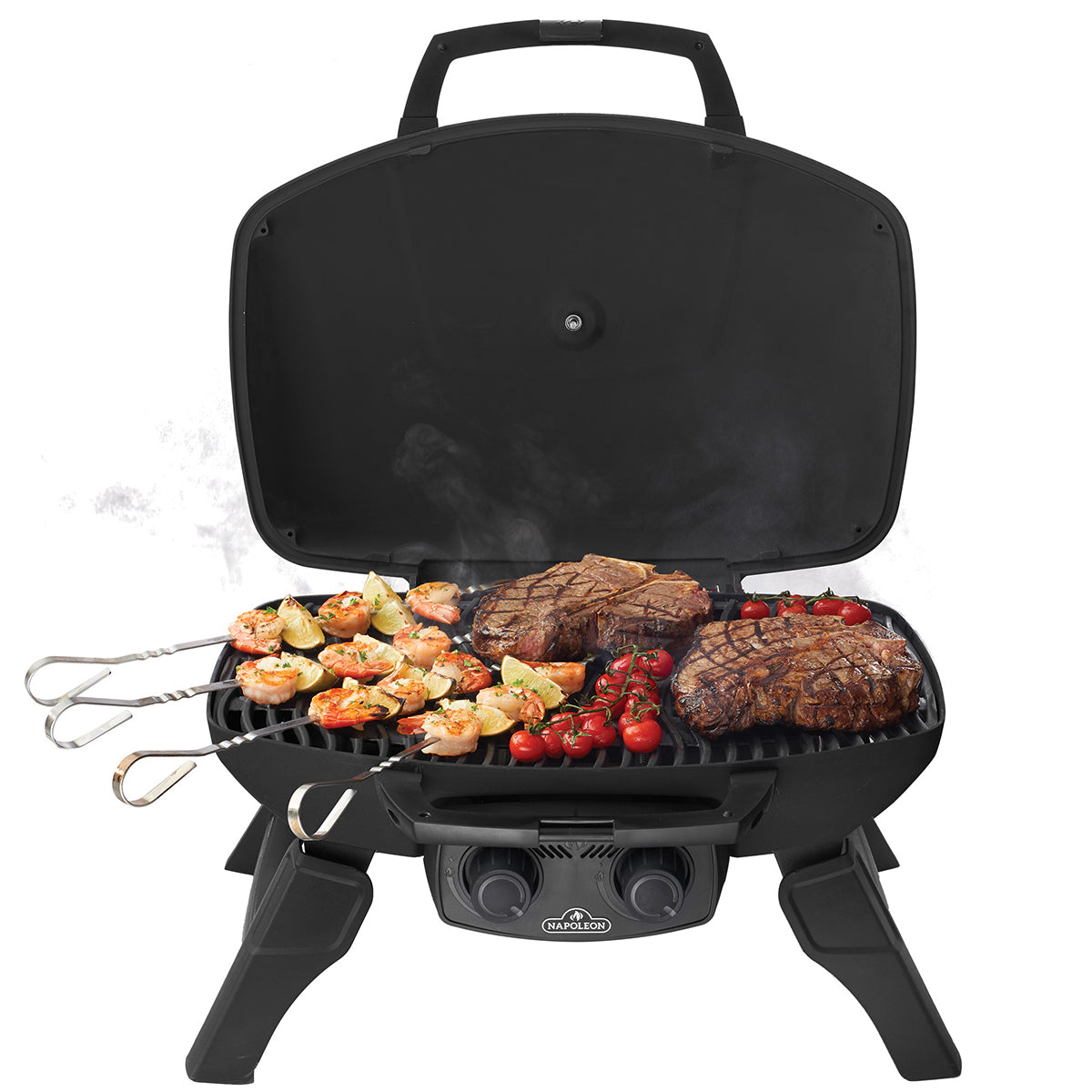 Napoleon Gasolgrill TravelQ 285-1