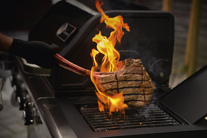 Landmann Gasolgrill Triton 4.1 maxX Svart
