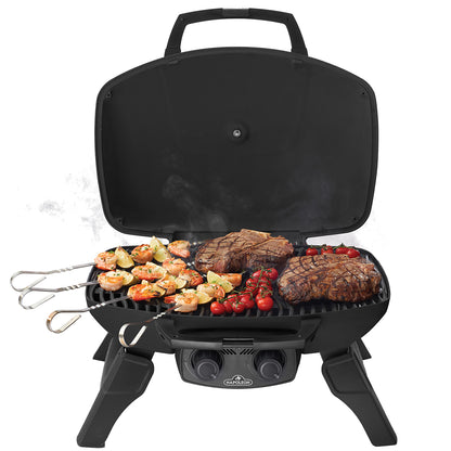 Napoleon Gasolgrill TravelQ 285-1