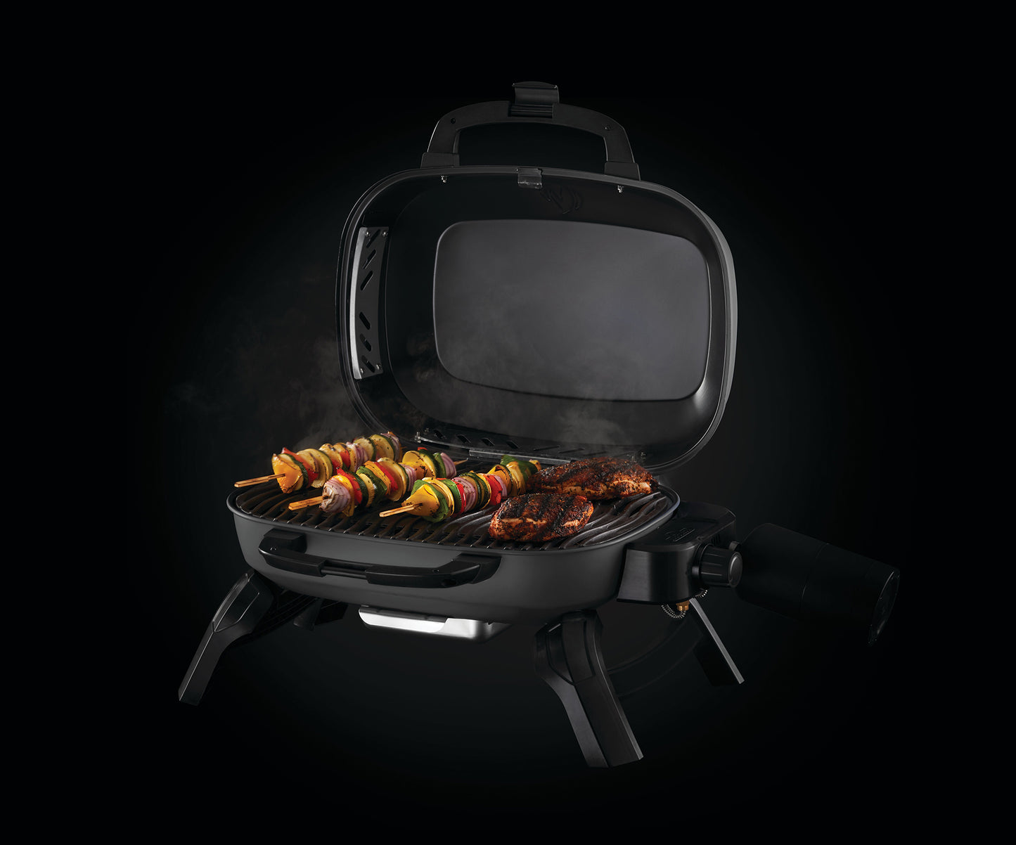 Napoleon Gasolgrill TravelQ 240