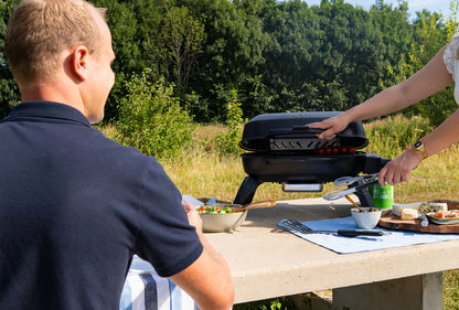 Napoleon Gasolgrill TravelQ 240