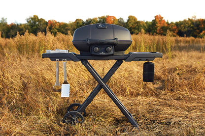 Napoleon Gasolgrill TravelQ PRO285-X-1 Phantom