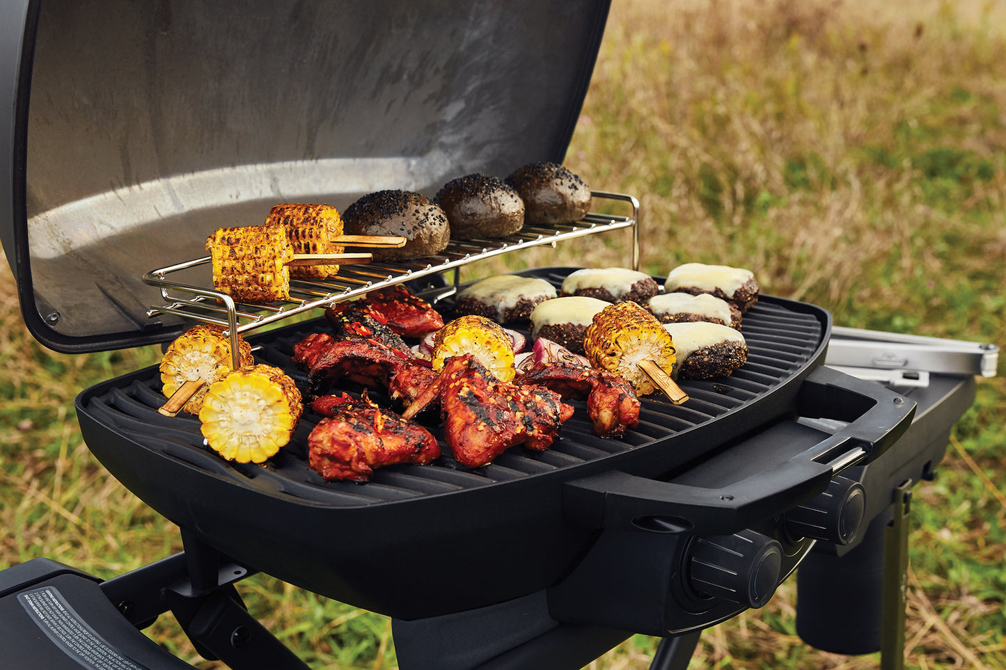 Napoleon Gasolgrill TravelQ PRO285-X-1 Phantom