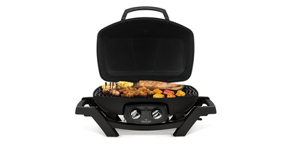 Napoleon Gasolgrill TravelQ PRO 285-1