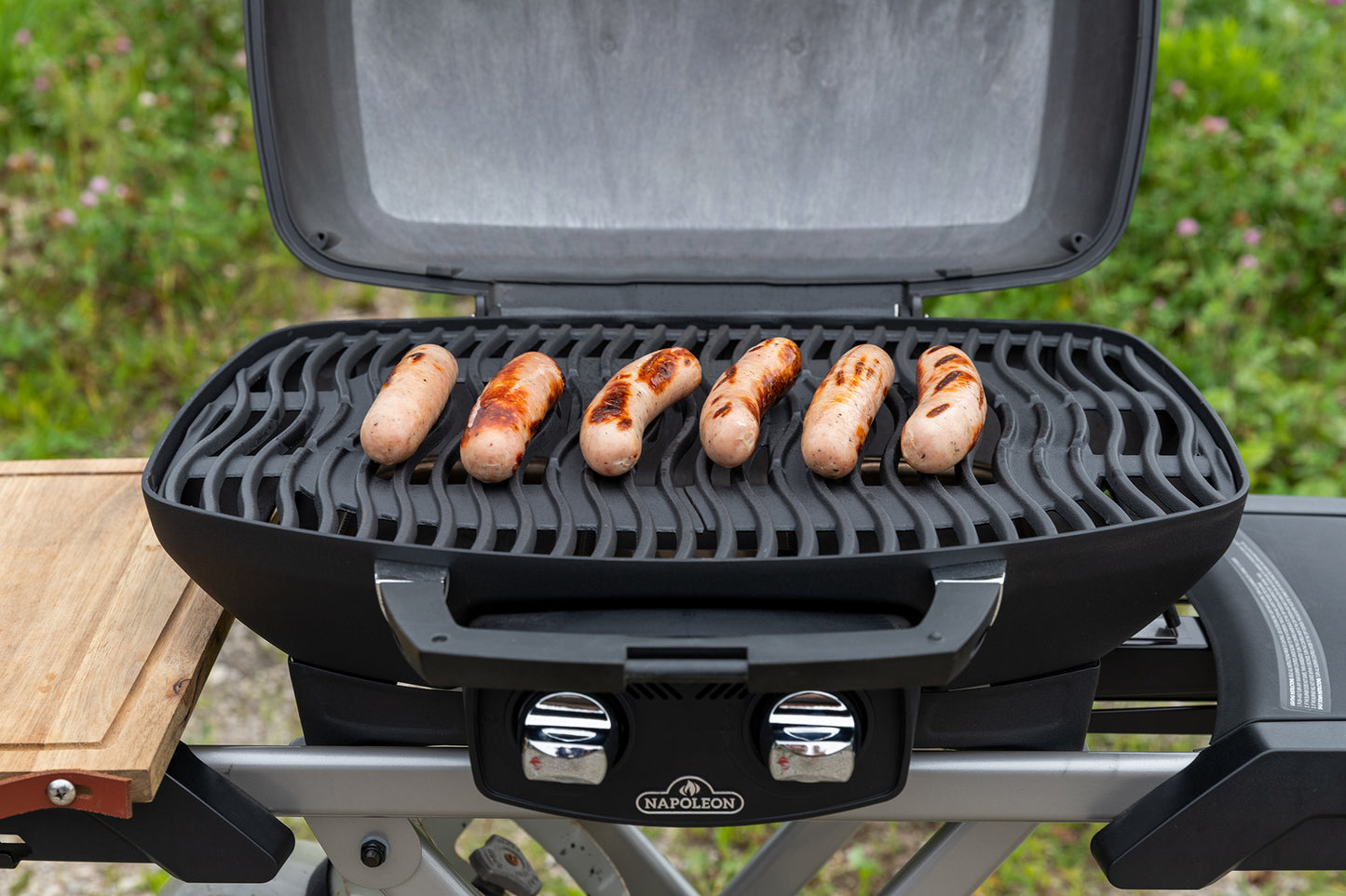 Napoleon Gasolgrill TravelQ PRO285-X-1